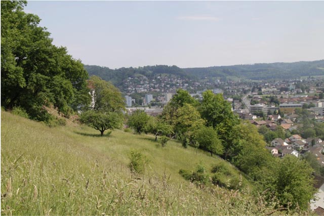 Foto: zVg