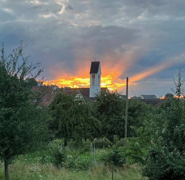 Beobachtet