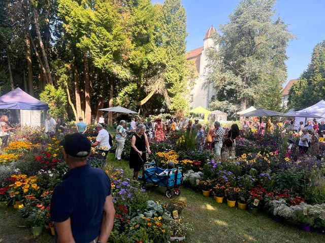 Foto: zVg