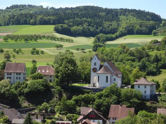 Der Kirchhügel in Wölflinswil wurde genauer unter die Lupe genommen. Foto: Peter Bircher
