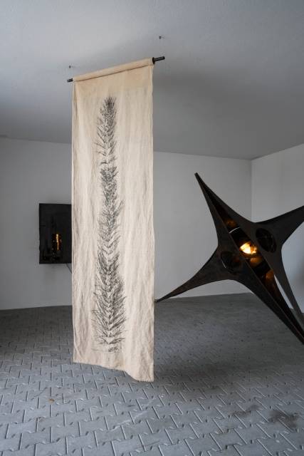 Maëtte Lannuzel, Equisetum forever, 2026