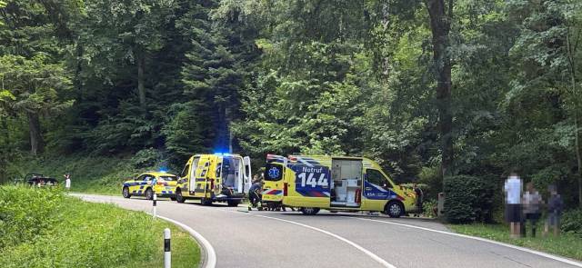 Zwei Personen wurden bei einem Unfall im Bowald verletzt.