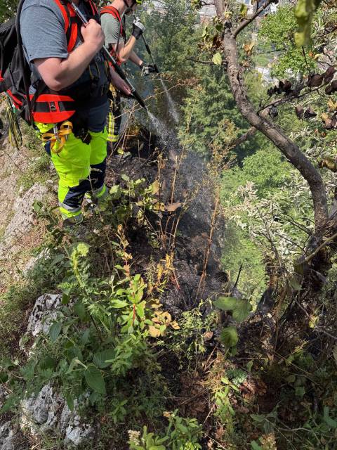 Foto: Polizei Aargau