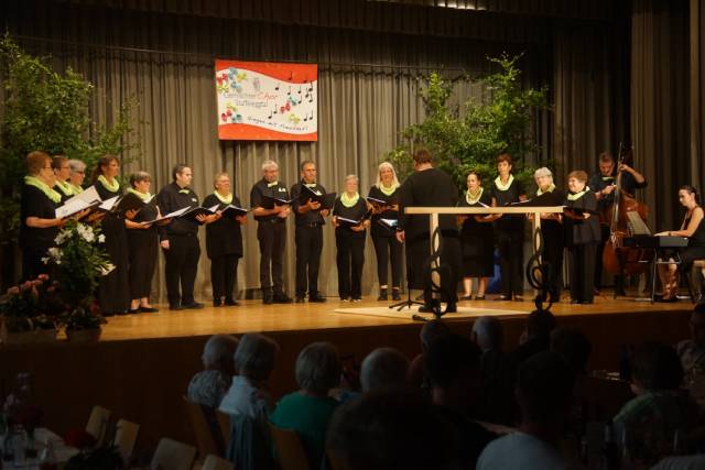 Der Gemischte Chor Staffeleggtal bei seinem Auftritt in Herznach