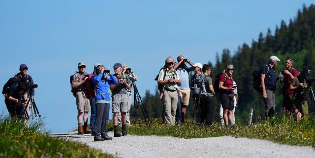 57 Vogelarten gab es im Naturpark Gantrisch zu beobachten.
